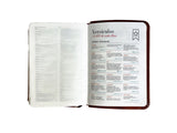 Biblia RVR60 Bolsillo i/piel CAFÉ (Colección Básica)