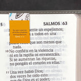 PACK 6 PUNTOS DE LIBROS MAGNÉTICOS (Banda rosa)
